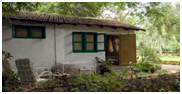 Hornbill Camp