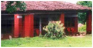 Hornbill Camp