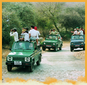 Jeep Safaris in India