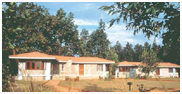 Royal Tiger Resort,Kanha