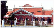 Tiger Haven Resort