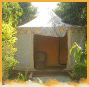 Corbett Jungle Retreat