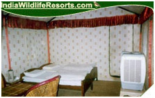 Corbett Jungle Retreat