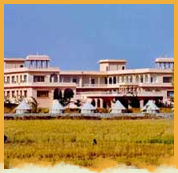 Dev Vilsa Resort, Ranthambore National Park
