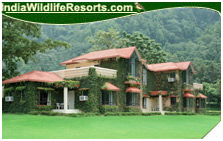 Corbett, Ramganga Resort