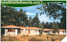 Royal Tiger Resort, Kanha National Park
