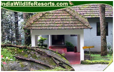 Tall Tree Resort, Eravikulam National Park