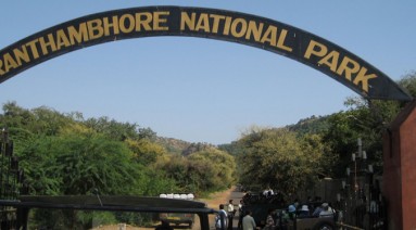 ranthambore-gate