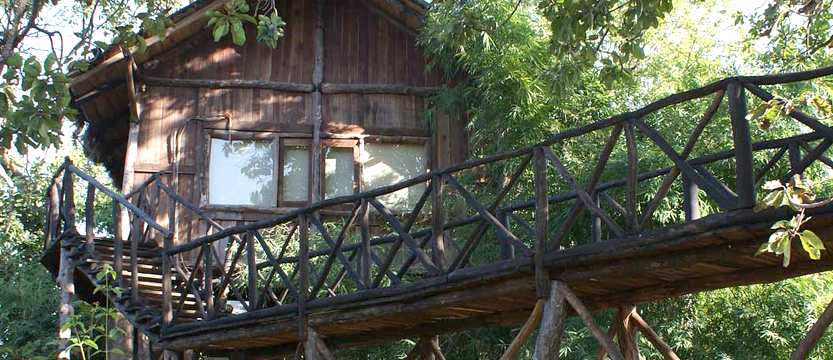 tree-house-hideaway