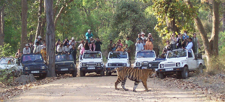 bandhavgarh