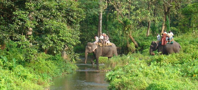 jaldapara-national-park