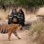ranthambore-national-park