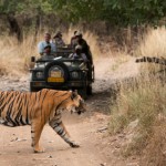 ranthambore-national-park