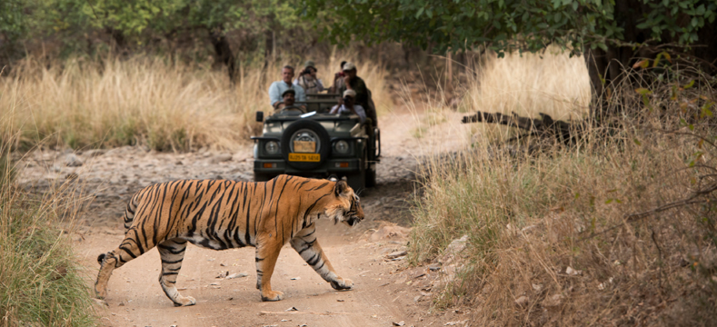 ranthambore-national-park