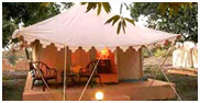 Lion Safari Camp