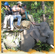 Elephant Safari in Bandhavgarh National Park