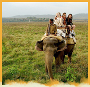 Elephant Safaris in India
