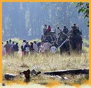 Elephant Safari in Kanha National Park