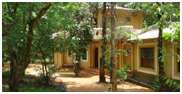 Krishna Jungle Resort, Kanha