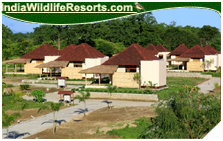 Musa Jungle Resort, Manas National Park