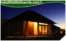 Musa Jungle Resort, Manas National Park