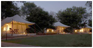 Sher Bagh Resort, Ranthambore