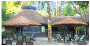 Tiger Camp Jungle Lodge