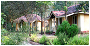 The Wild Chalet, Kanha