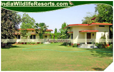 Ankur Resort, Ranthambore National Park