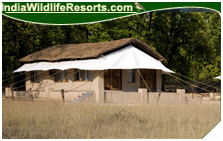 Baghsarai Hideaway Resort, Bandhavgarh