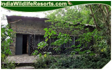 Hornbill Camp