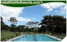 Hornbill Camp