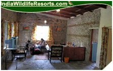 Hornbill Camp
