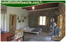 Hornbill Camp