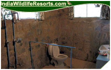 Hornbill Camp