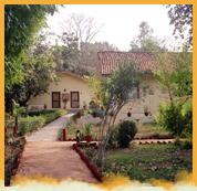 Bandhavgarh Jungle Lodge