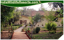 Bandhavgarh Jungle Lodge