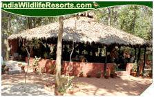 Bandhavgarh Jungle Lodge