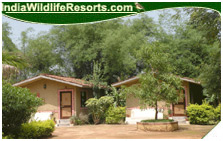 Bandhavgarh Jungle Lodge