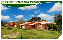 Bandipur Safari Lodge