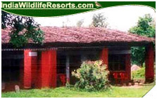 Hornbill Camp