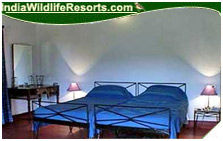 Hornbill Camp