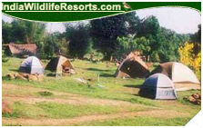 Hornbill Camp
