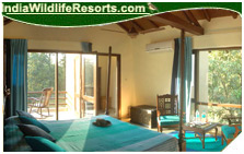 chitwan jungle lodge