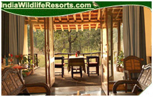 chitwan jungle lodge