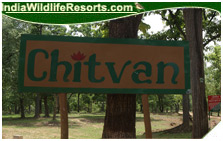 chitwan jungle lodge