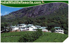 Club Mahindra Resort, Munnar