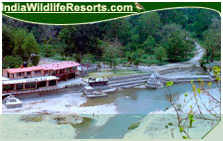 Corbett Riverside Resort