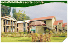 Corbett Tiger Den Resort