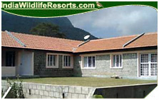 Hornbill Camp